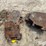 front-tractor-weights-image-3