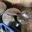 #9621-•-sheep-milking-equipment-image-9