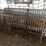 #9601-•-sheep-gates-image-1