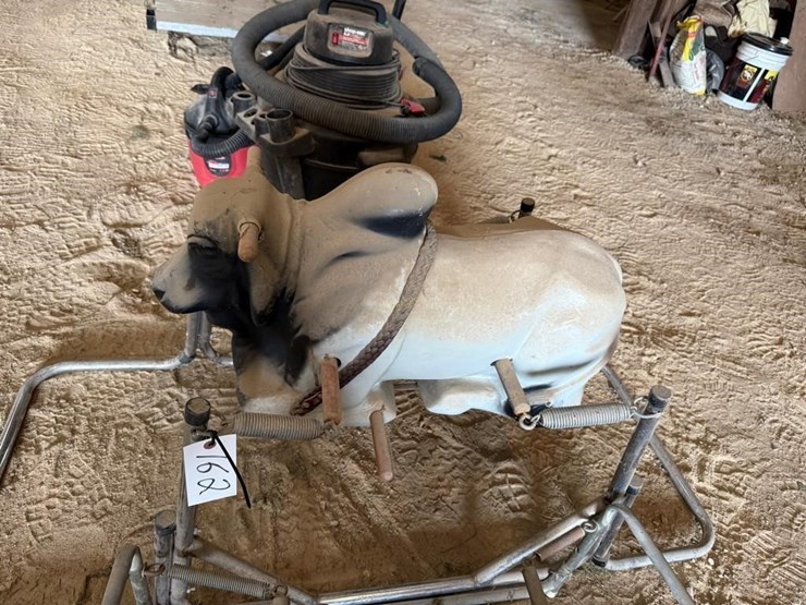 riding-horse-&-bull-image-4