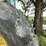 1998-john-deere-8400-image-5