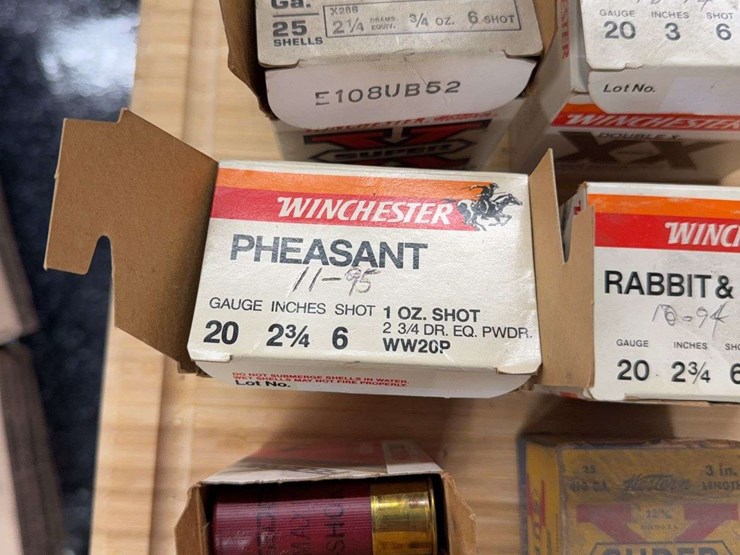assorted-shotgun-shells-image-3