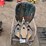 bird-house-&-chair-image-4