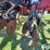 2016-case-ih-2016-image-20