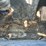 deere-323d-image-26