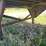 great-dane-trailer-image-8