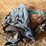misc-tarps-image-1