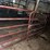 #9606-•-(2)-bull-gates-image-1