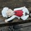 #9000-•-happy-chef-statue-(elk-river,-mn)-image-36