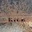 2005-stealth-rice-trailer-6.5ft-w-x-12ft-l.-vin-48mf516295s053999-image-10