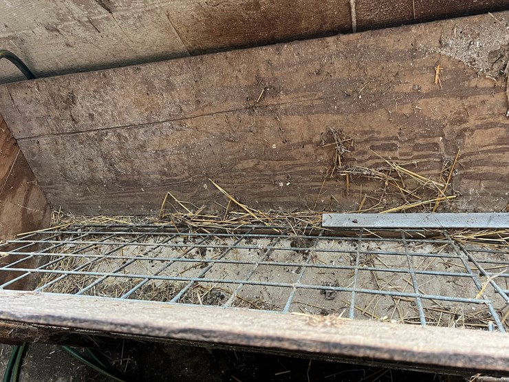 #9620-•-8'-sheep-feeder-image-6