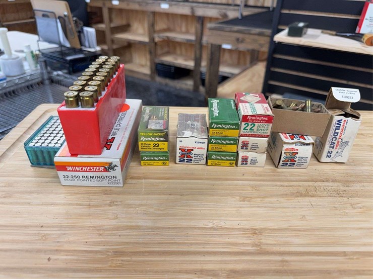 assorted-.22-cal-image-1