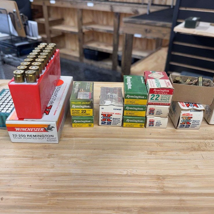 Assorted .22 Cal