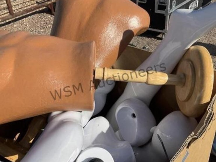 box-of-asst-mannequins-image-3