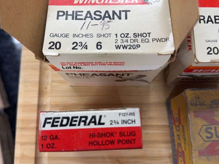 assorted-shotgun-shells-image-2