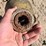 pequea-910-image-10