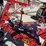 #6157-•-h&s-2112-action-rake-(sturgeon-bay,-wi)-image-19