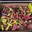 large-flat-of-older-shotgun-shells-image-2