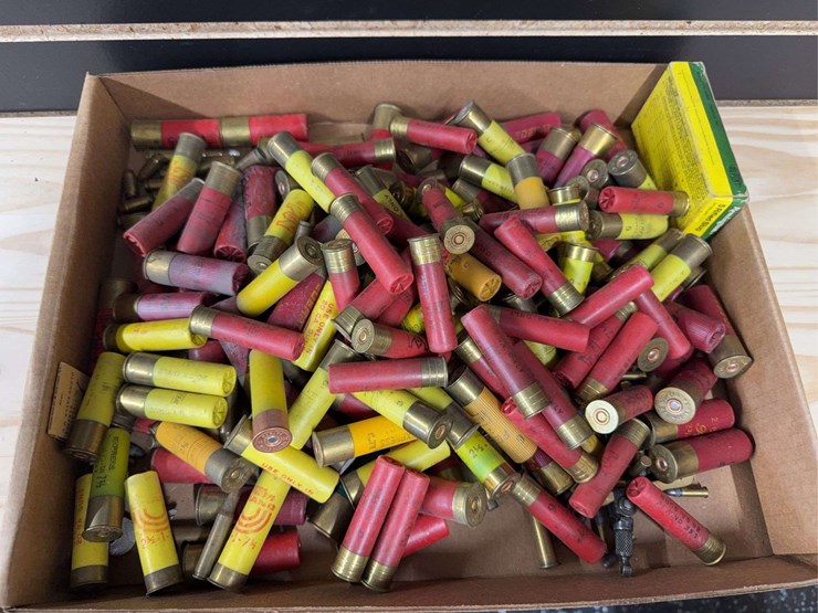 large-flat-of-older-shotgun-shells-image-2