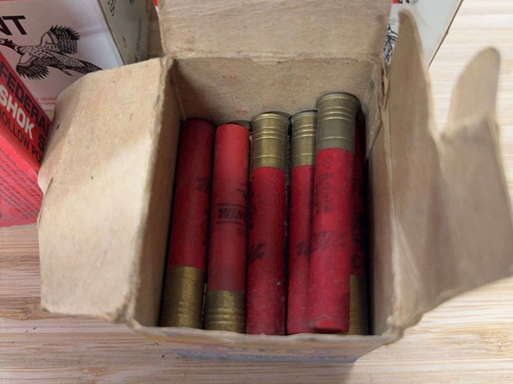 assorted-shotgun-shells-image-6