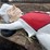#9000-•-happy-chef-statue-(elk-river,-mn)-image-5