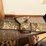 multiple-soft-gun-cases-image-6