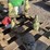 pallet-of-asst-concrete-statues-image-3