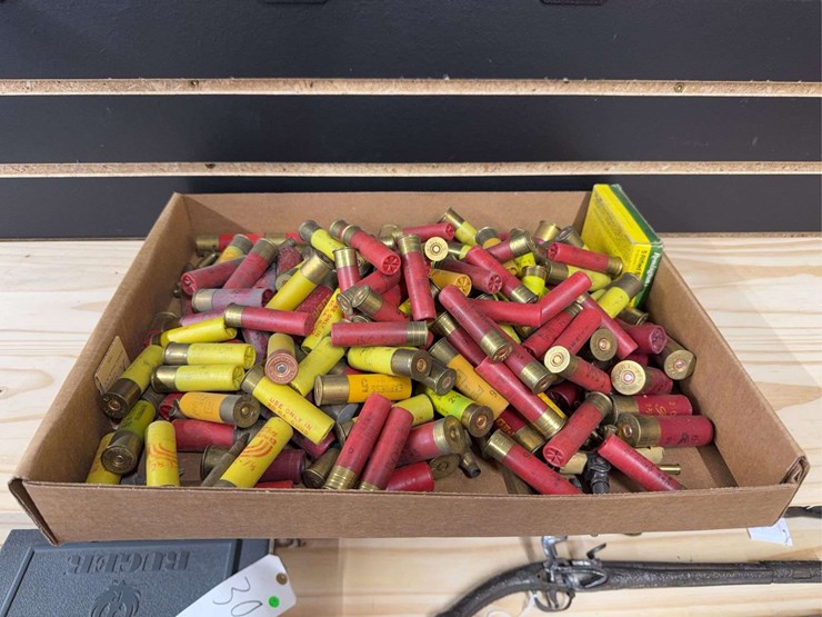 large-flat-of-older-shotgun-shells-image-1