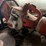 stihl-ts350-image-5