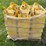 john-deere-planter-boxes-&-parts-image-12