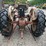 ford-801-image-5