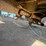 #42070-•-1984-cheverolet-c7-t/a-water-truck-vin:-1gbj7d1b3ev103757-image-26