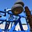 2010-landoll-7431vt-plus-33'-vertical-tillage-tool-image-19