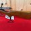 mossberg-model-185d-20ga-shotgun-image-2
