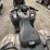 2007-honda-trx420fe-image-7