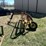 #6089-•-new-holland-hay-rake-(omro,-wi)-image-8