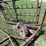 #6092-•-towable-farm-harrow-(omro,-wi)-image-10