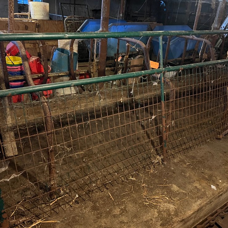 #9603 • Mesh Gate