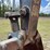 2019-deere-210g-image-10