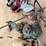 outdoor-frog-décor-&-other-image-8