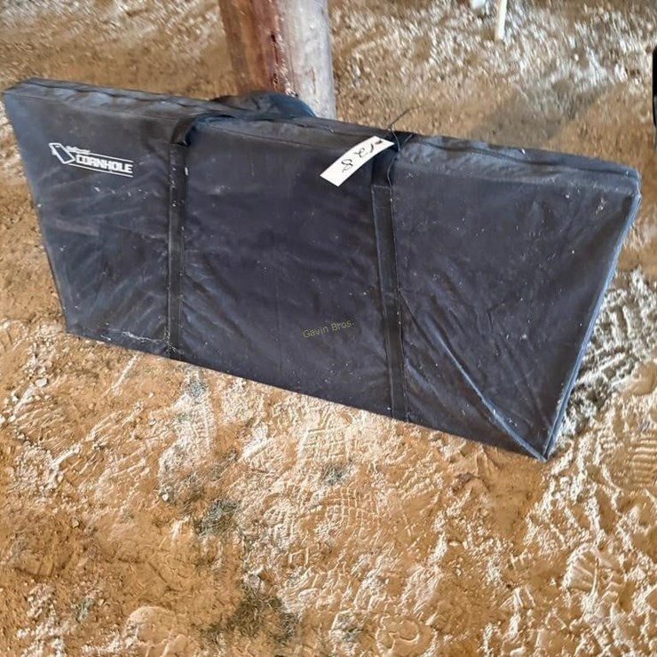 Cornhole Game