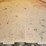 great-dane-trailer-image-11