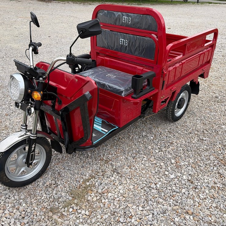 #307 • Unused 2026 IRET13 Electric Tricycle