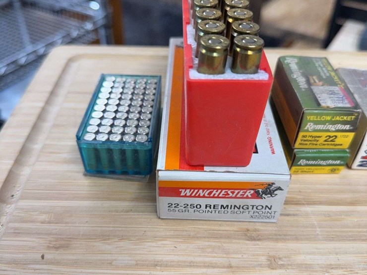 assorted-.22-cal-image-2