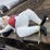 #9000-•-happy-chef-statue-(elk-river,-mn)-image-4