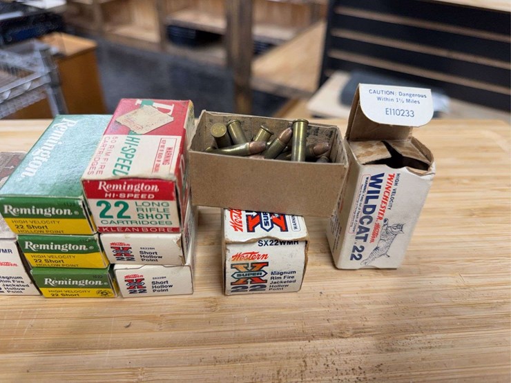 assorted-.22-cal-image-4