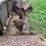 #9559-•-new-idea-manure-spreader-image-15