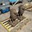 (2)-concrete-lion-statues-image-2