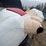 #9000-•-happy-chef-statue-(elk-river,-mn)-image-9