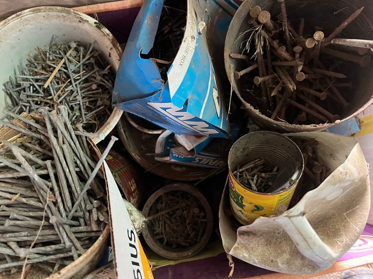 #9643-•-assortment-of-nails-image-12